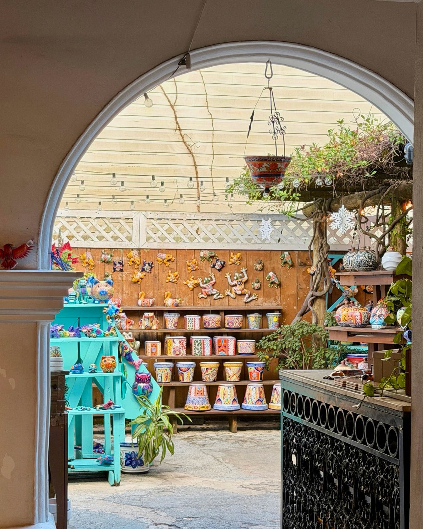Tierra-Fina-Market-to-Market-store-image-2.jpg