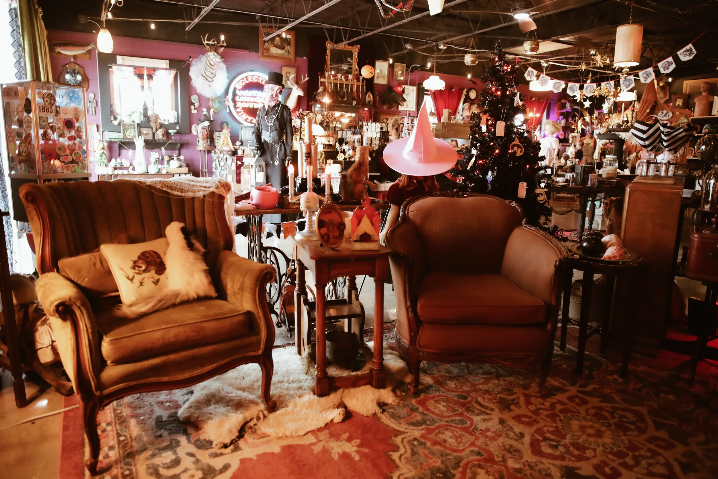 Rick and Leneah Hearn opened their oddities shop called Velvet & Venom on Anastasia Blvd. in August. Photos by Leneah Hearn