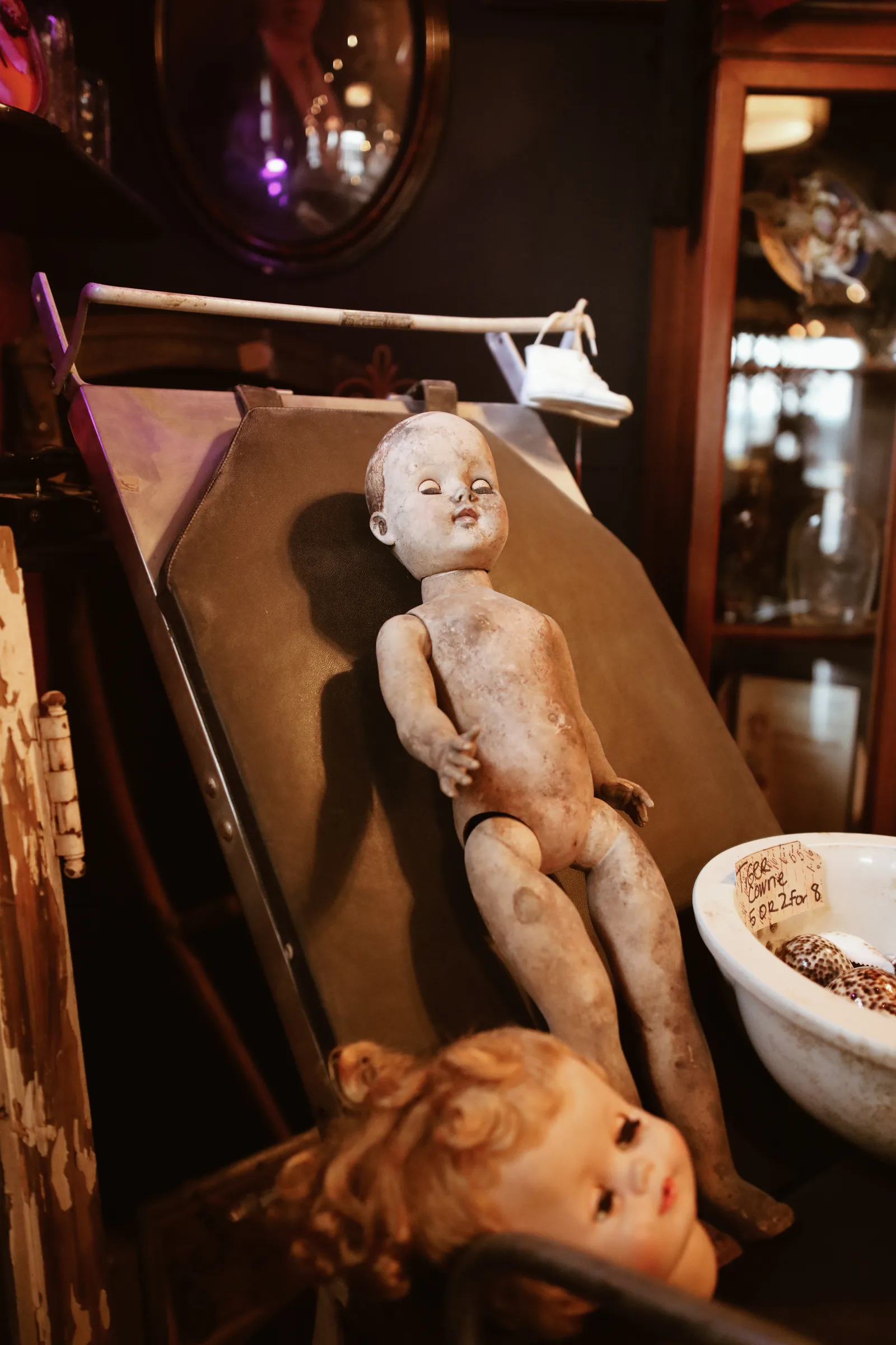 Rick and Leneah Hearn opened their oddities shop Velvet & Venom in August on Anastasia Blvd.
