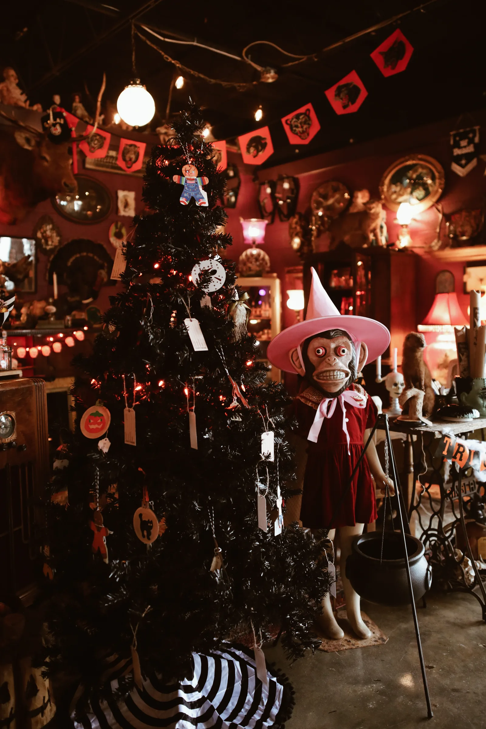 Velvet & Venom Brings Oddities, Taxidermy and the Macabre to Anastasia Boulevard
