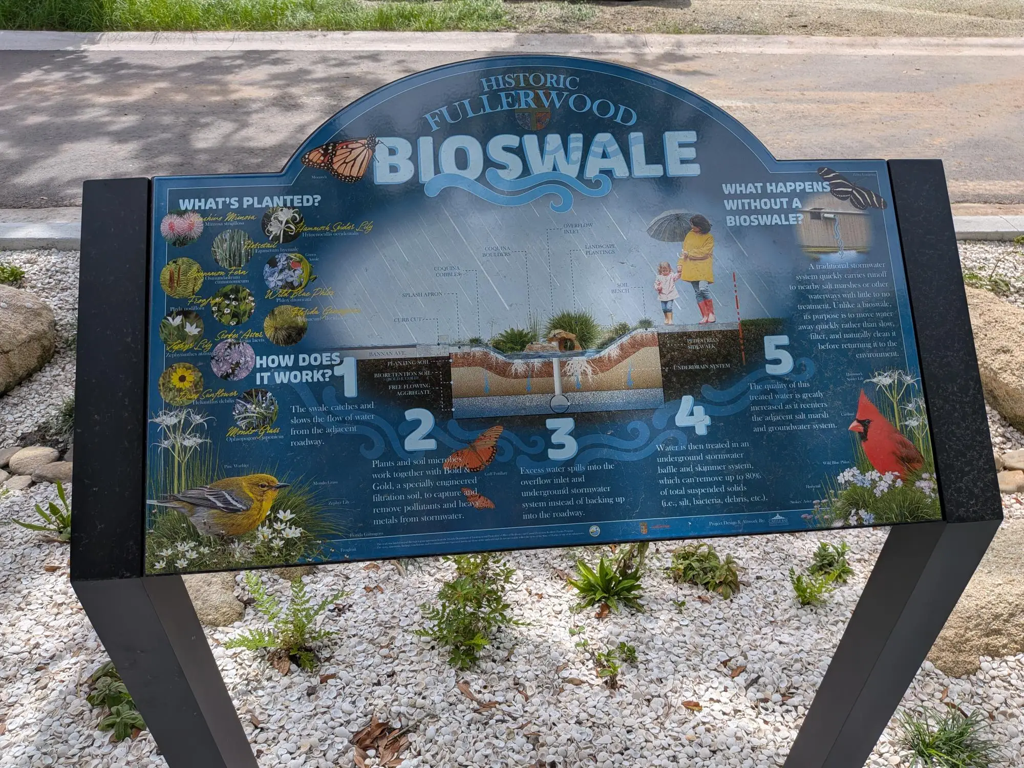 Court Theophelia Project Brings New Approach to Stormwater Management