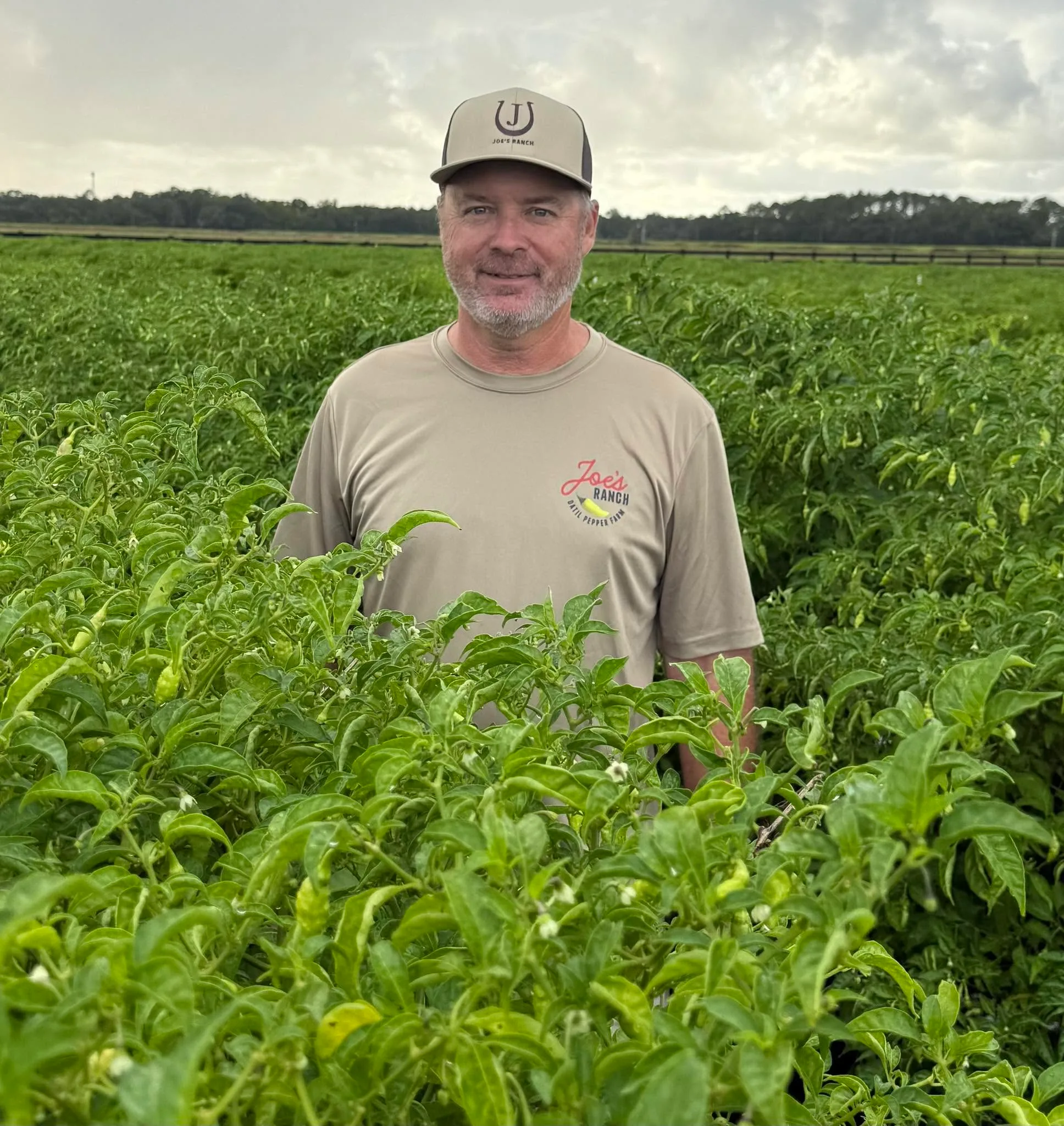Joe’s Ranch Grows St. Johns County’s Datil Pepper Tradition