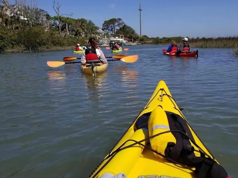 Four Ways to Show Appreciation for North Florida’s Marsh Ecosystems