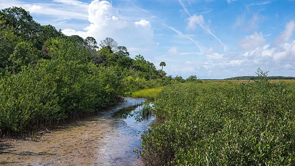 St. Johns County Land Conservation Referendum Moves Closer to November Ballot as Poll Shows Majority Support
