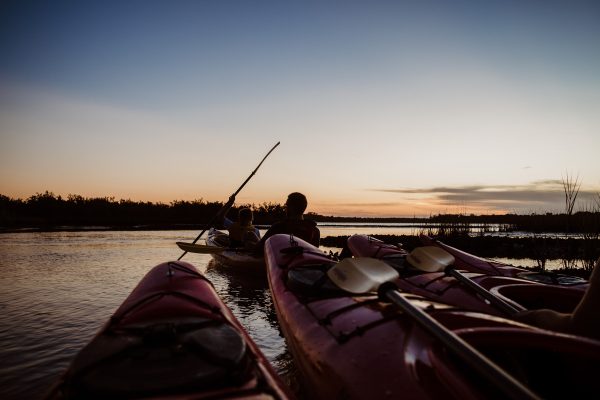 the st augustine social team paddles kayaks in marineland