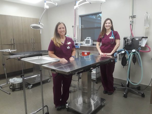 St. Augustine Humane Society Opens New Expanded Facility