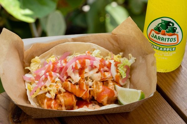 saint augustine taco at osprey tacos