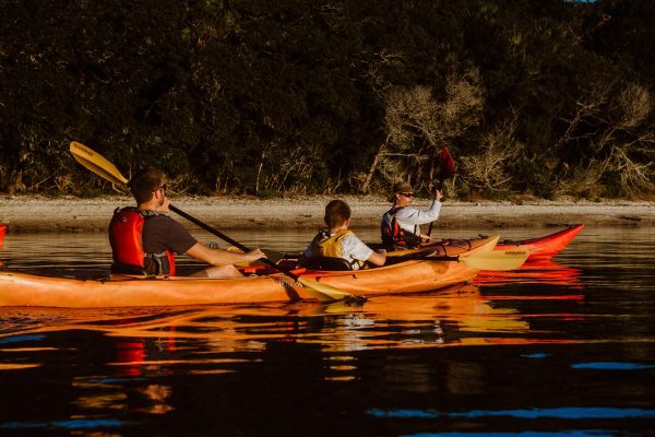 the st augustine social team paddles kayaks in marineland