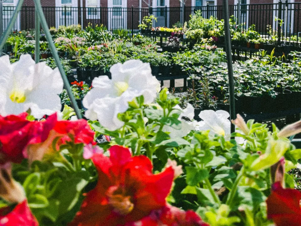 Inside the Florida School for the Deaf and Blind’s Hidden Nursery
