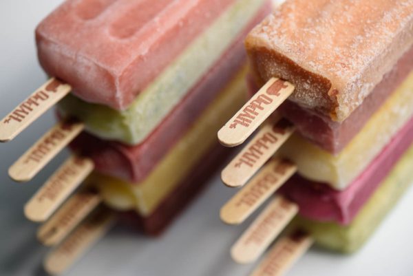 two stacks of hyppo ice pops in st augustine florida