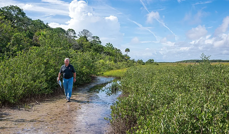 The Partners Who Saved Fish Island Preserve