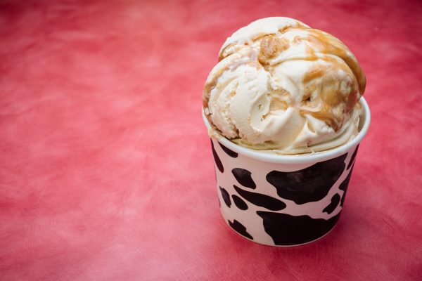 The Best Ice Cream in St. Augustine