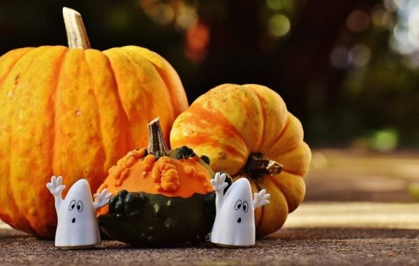 Three Pumpkins and Two Little Ghosts