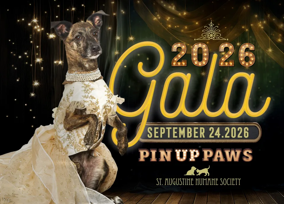 Local Pets Take Center Stage at St. Augustine Humane Society’s Pin Up Paws Gala