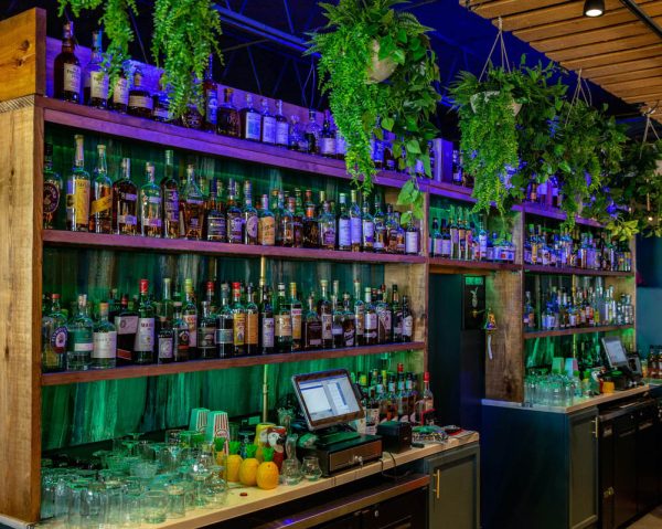 Odd Birds Cocktail Lounge & Kitchen Opens New St. Augustine Restaurant