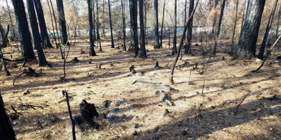St. Johns County Extends Burn Ban, Issues Water Restrictions Amid Historic Florida Drought