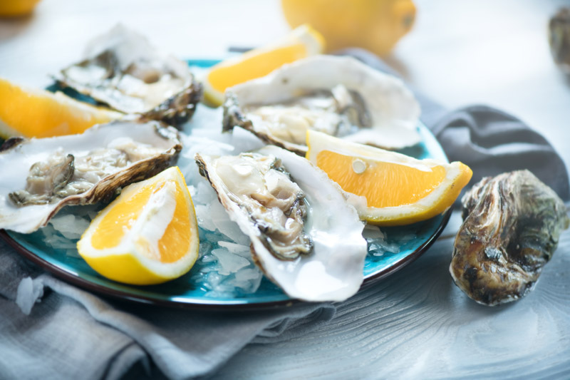 The Best Oysters in St. Augustine