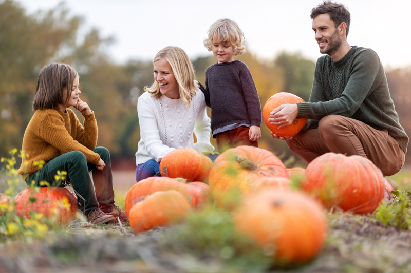2020 Fall Festivals & Pumpkin Patches in St. Augustine